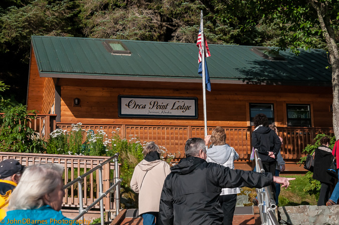 Juneau: Whale watching excursion