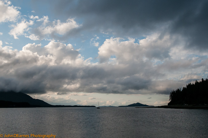 Juneau: Whale watching excursion